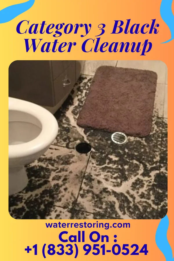 Category 3 Black Water Cleanup in Martinsville, VA