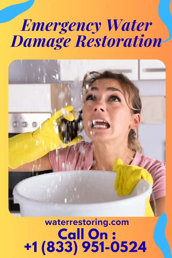 Emergency Water Damage Restoration in Martinsville, VA