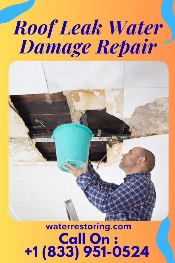 Roof Leak Water Damage Repair in Martinsville, VA