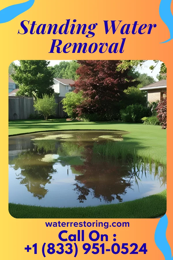 Standing Water Removal in Martinsville, VA